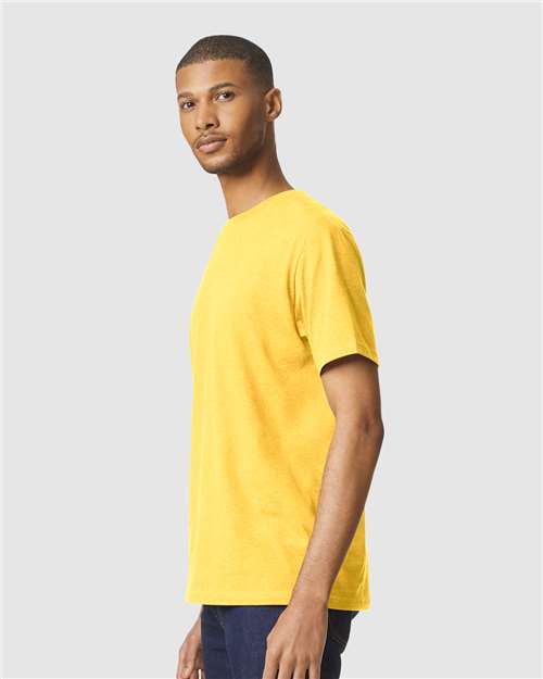 Daisy Mist-model Image