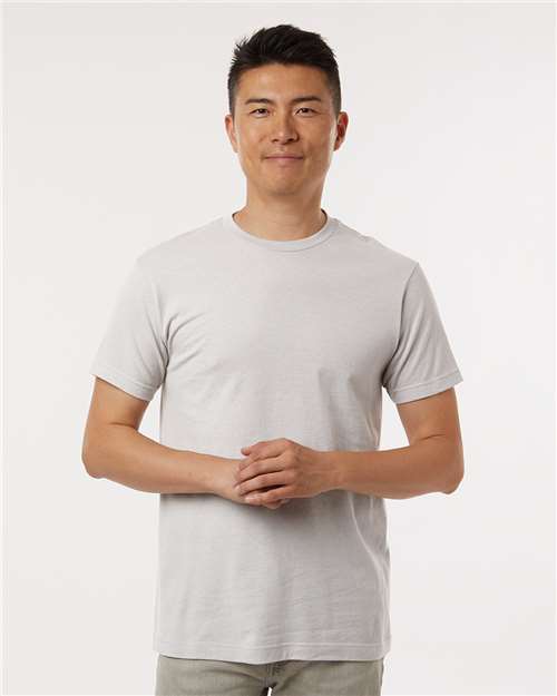 Silver-model Image