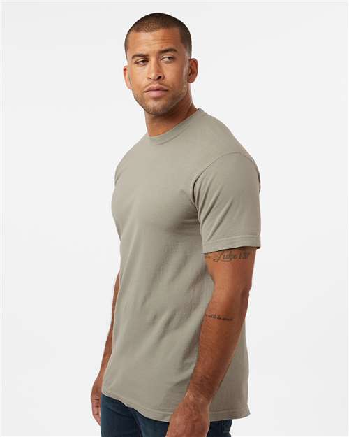 Sandstone-model Image