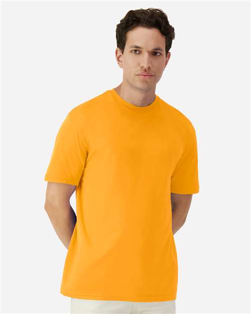 Gold-model Image