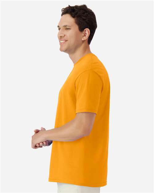 Gold-model Image