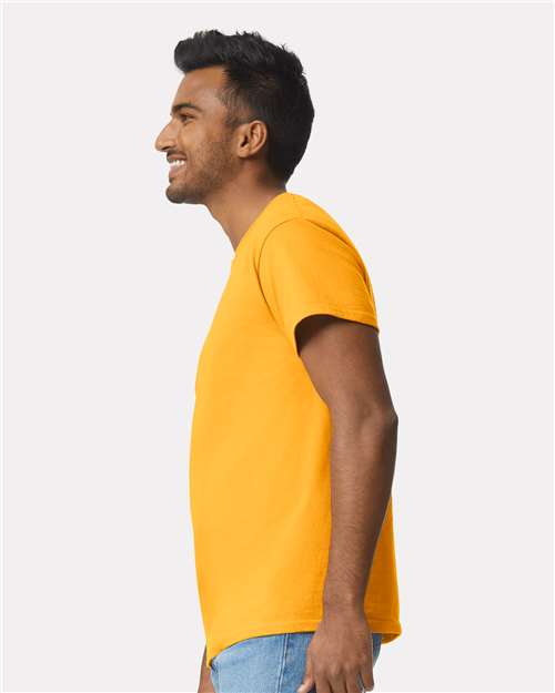 Gold-model Image