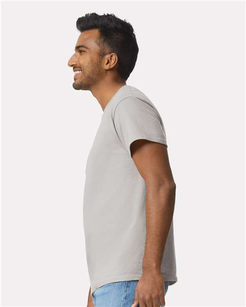 Ice Grey-model Image