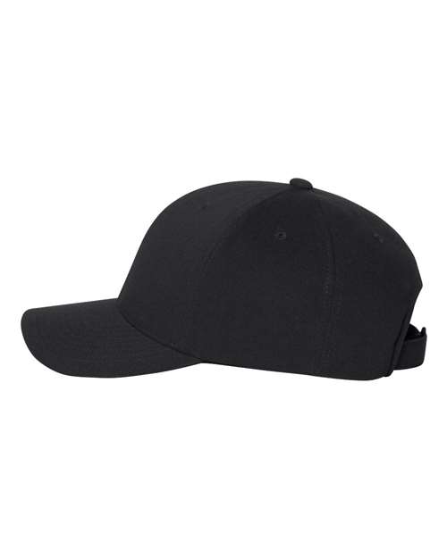 Black-model Image