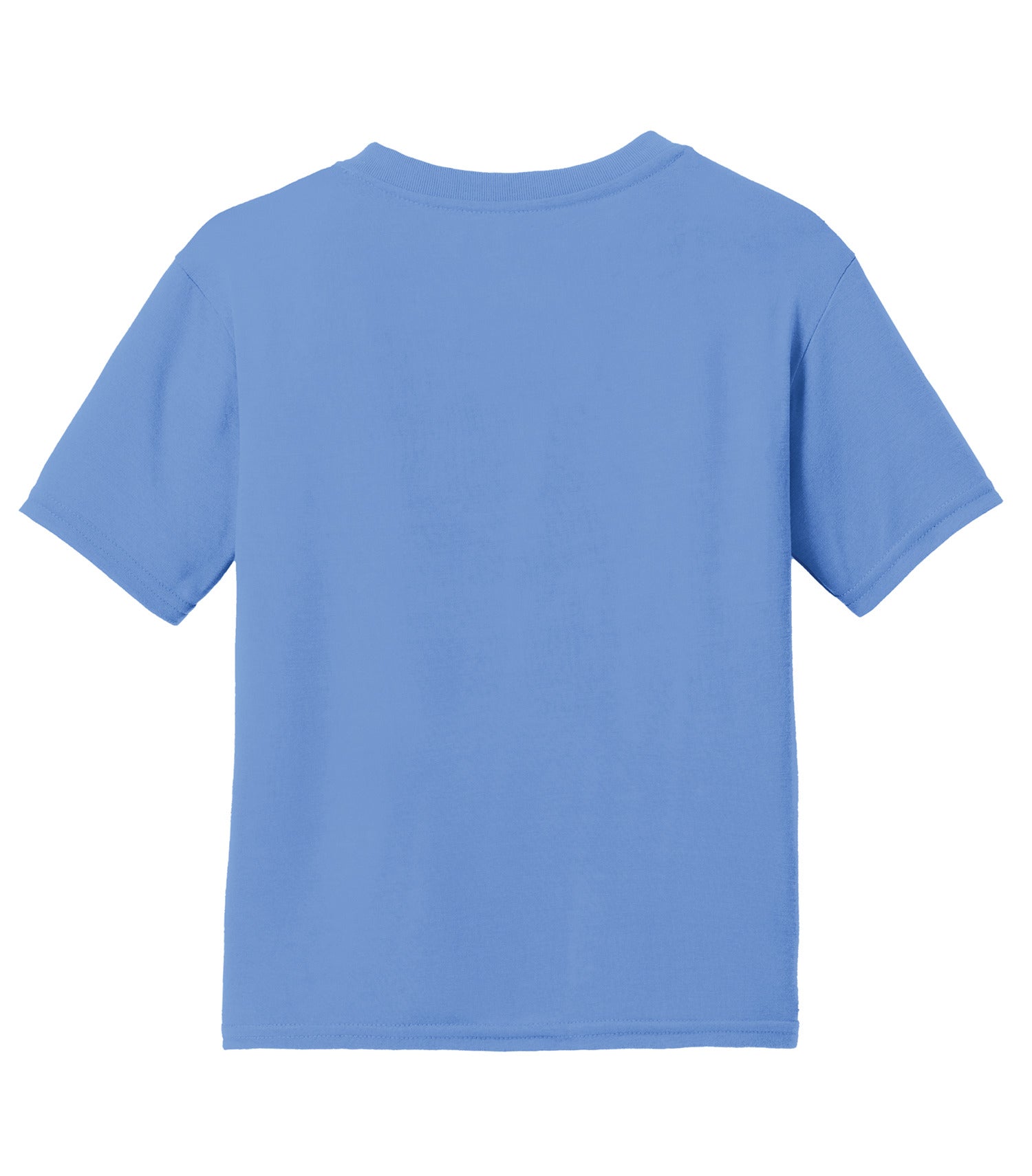 Carolina Blue-model Image