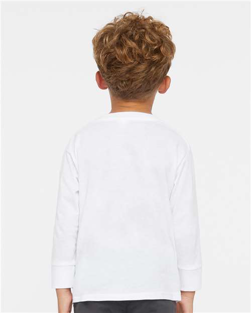 White-model Image