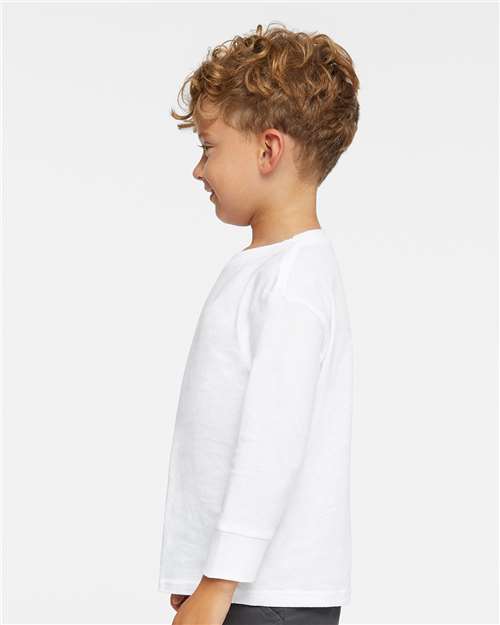 White-model Image