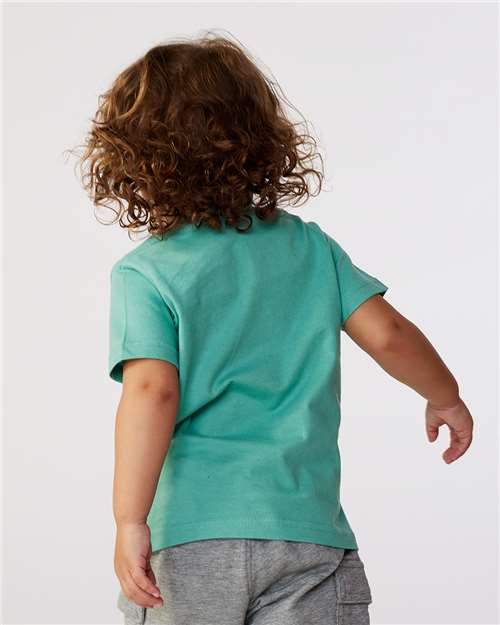 Saltwater-model Image