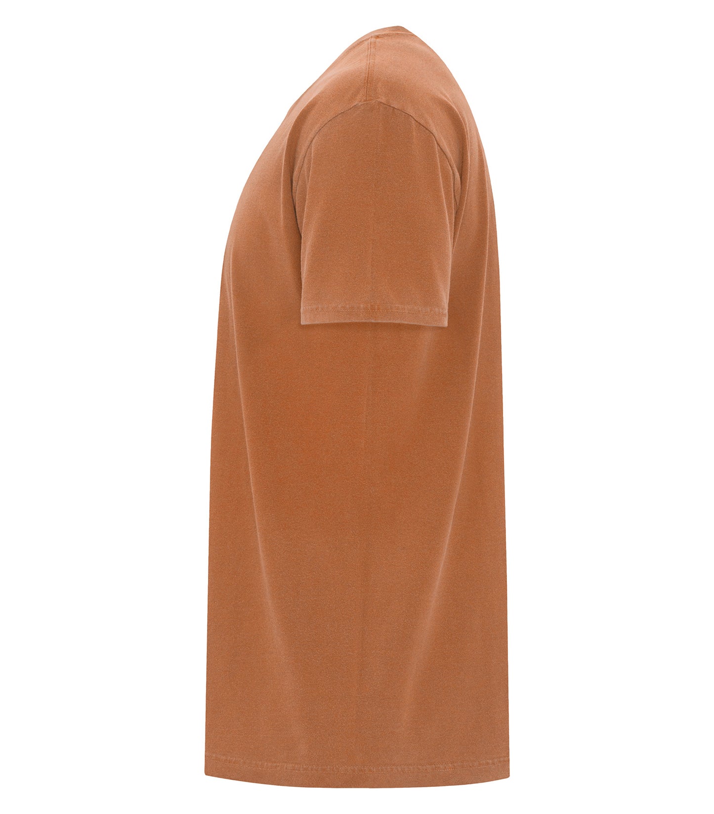 Yam-model Image