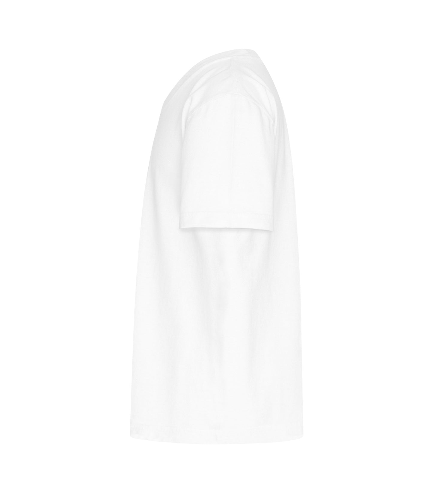 White-model Image