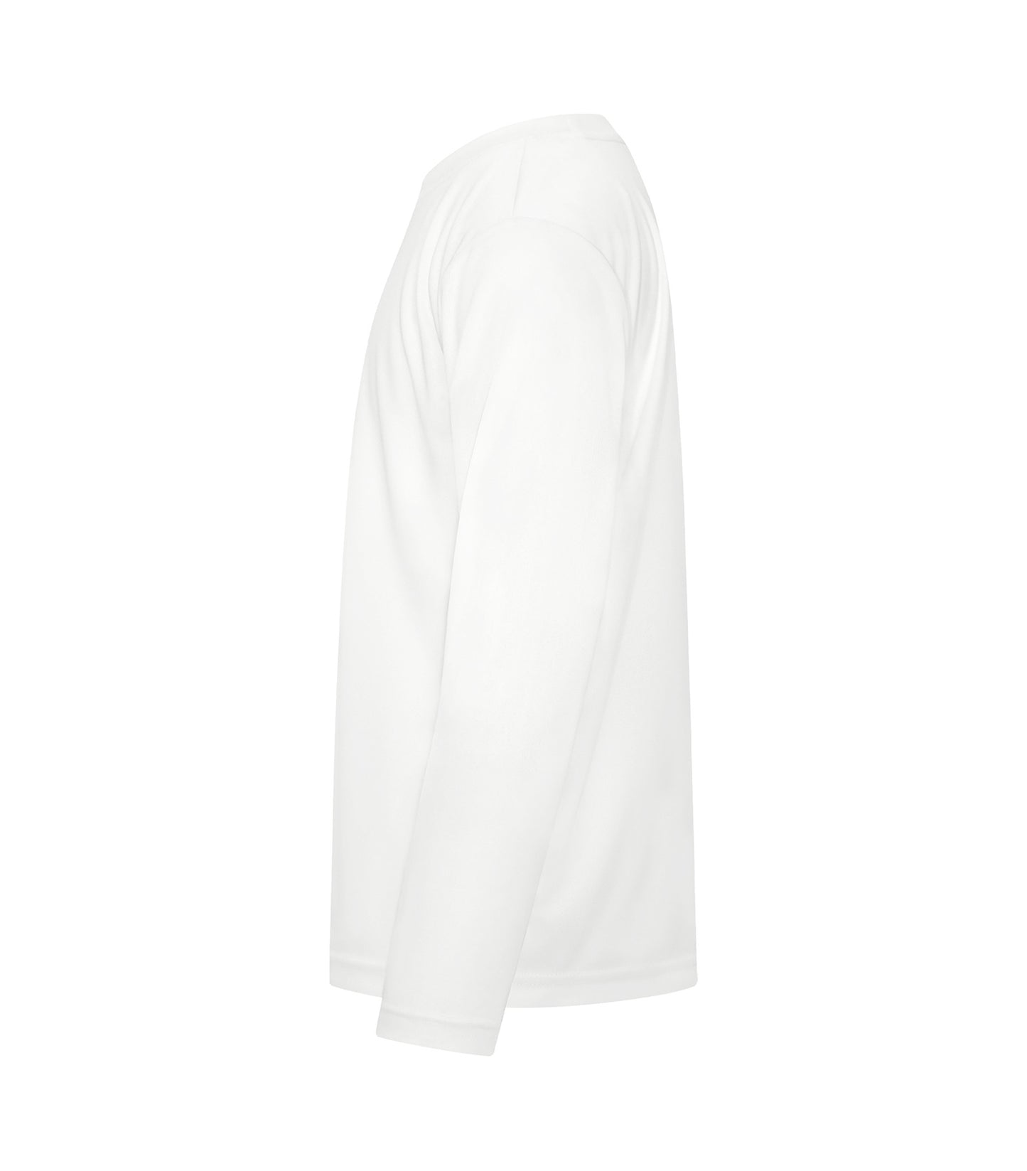 White-model Image