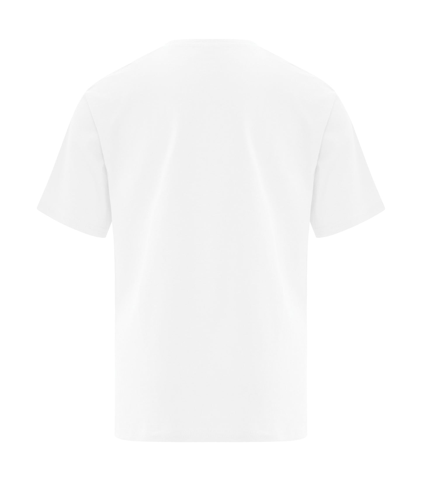 White-model Image