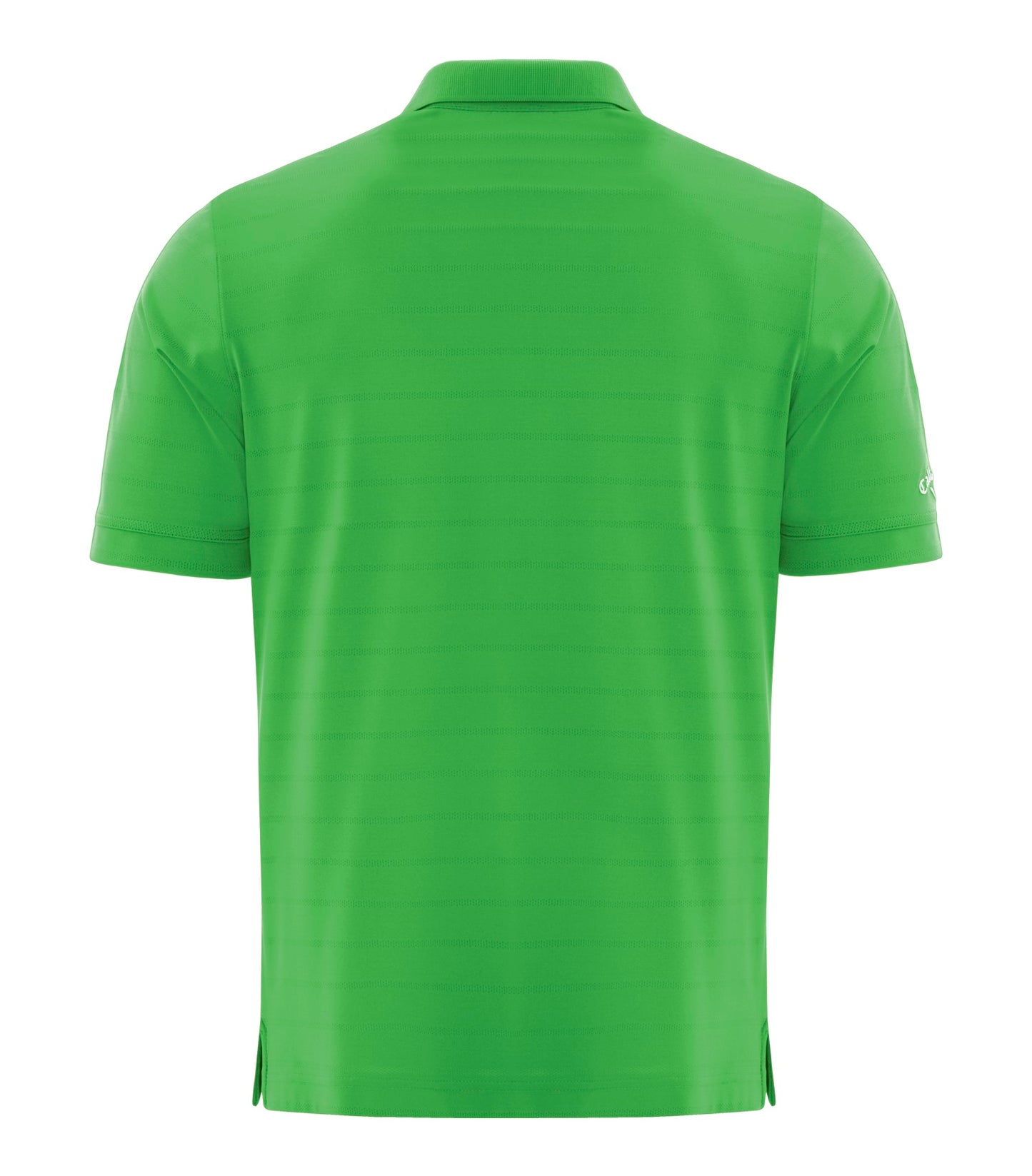 Vibrant Green-model Image