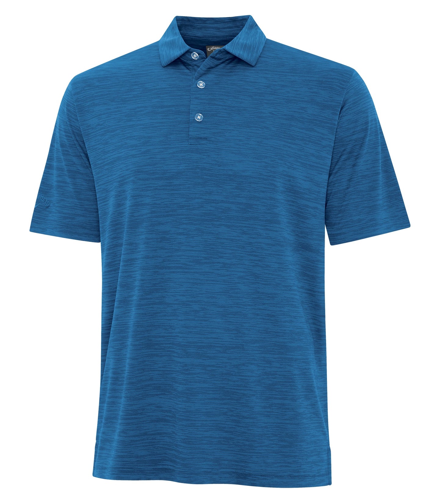 Blueberry-model Image