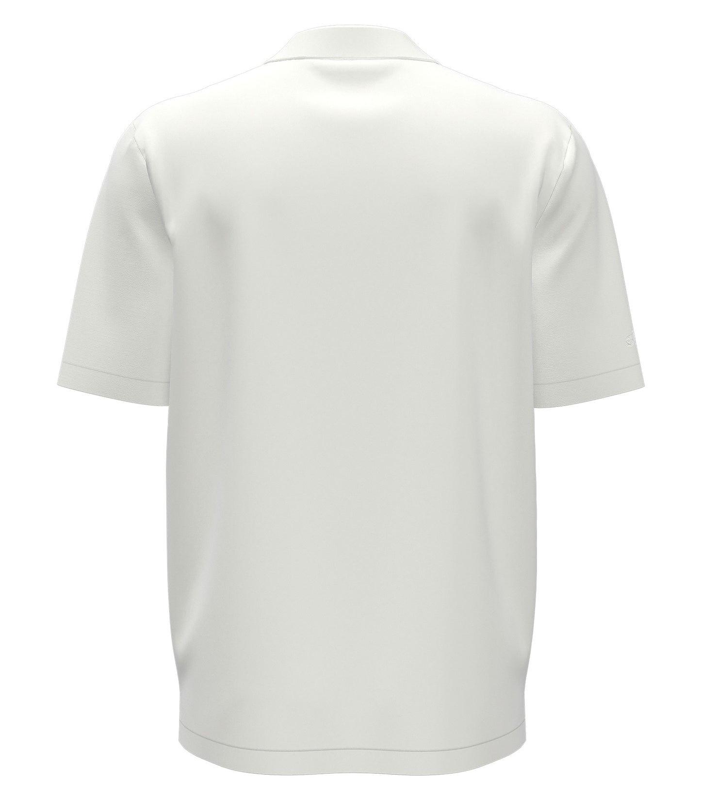 White-model Image