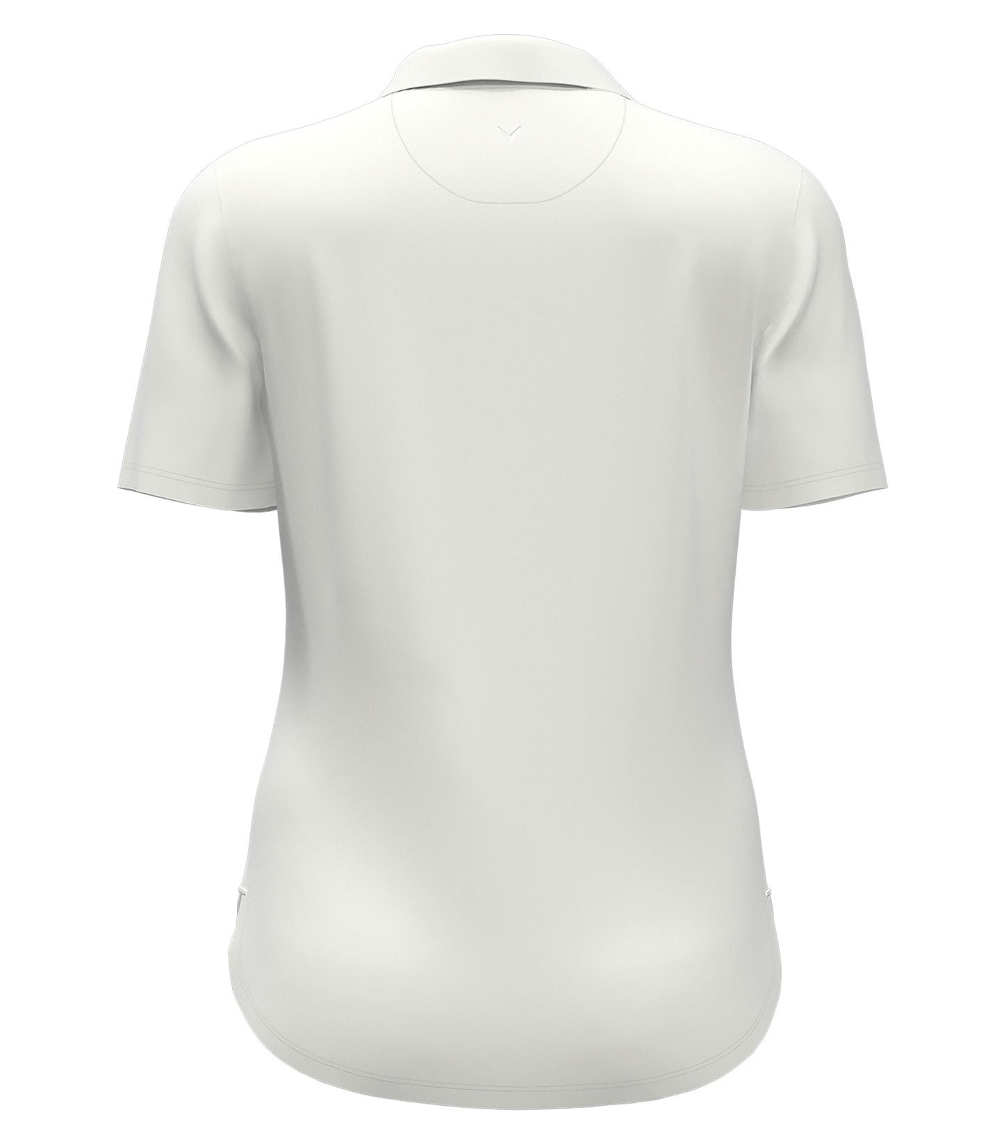 White-model Image