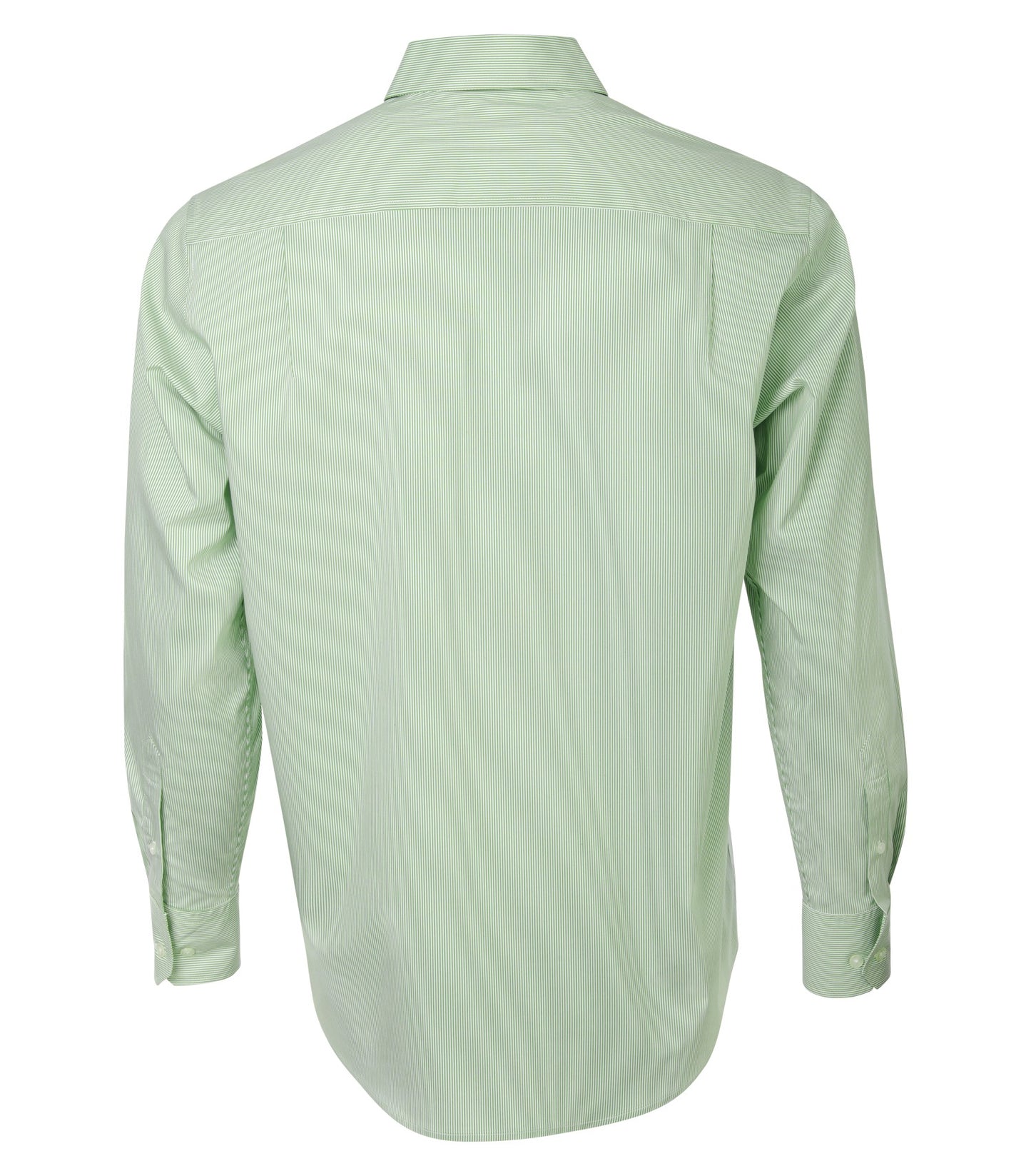 Wintergreen-model Image