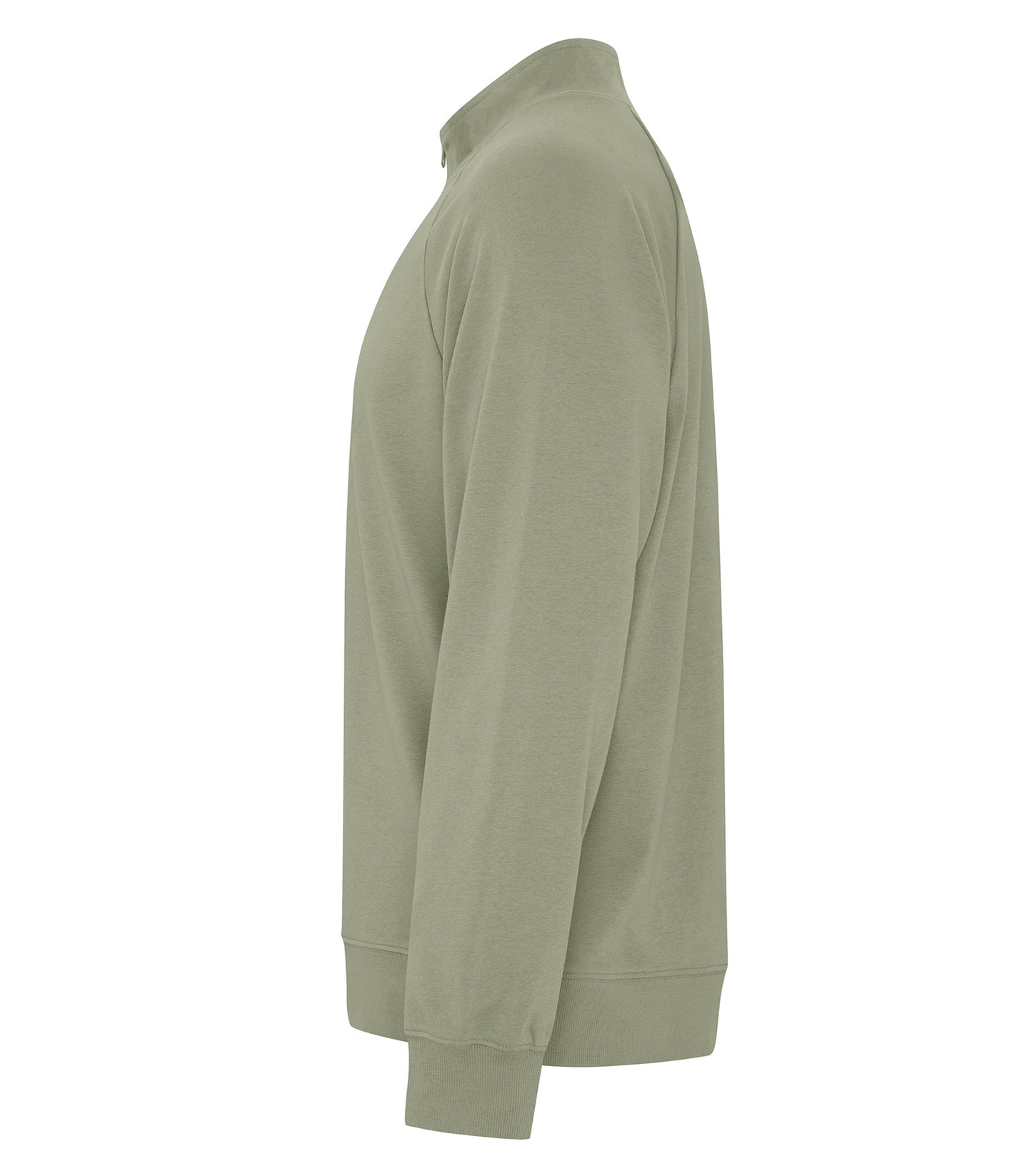 Thyme-model Image
