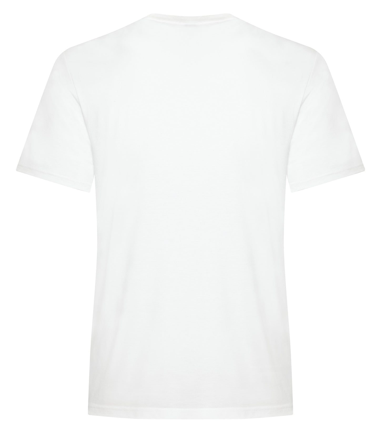 White-model Image