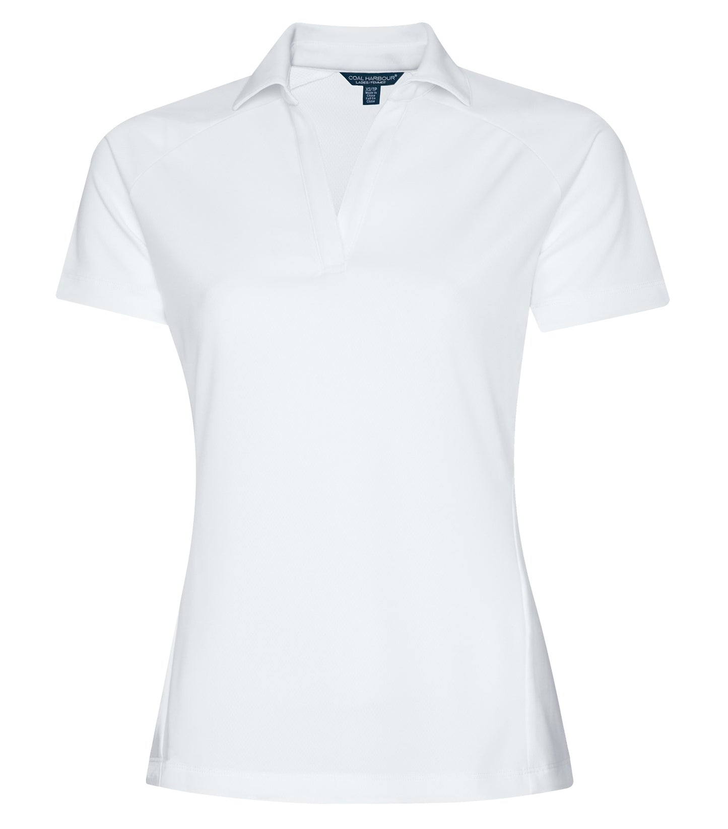White-model Image