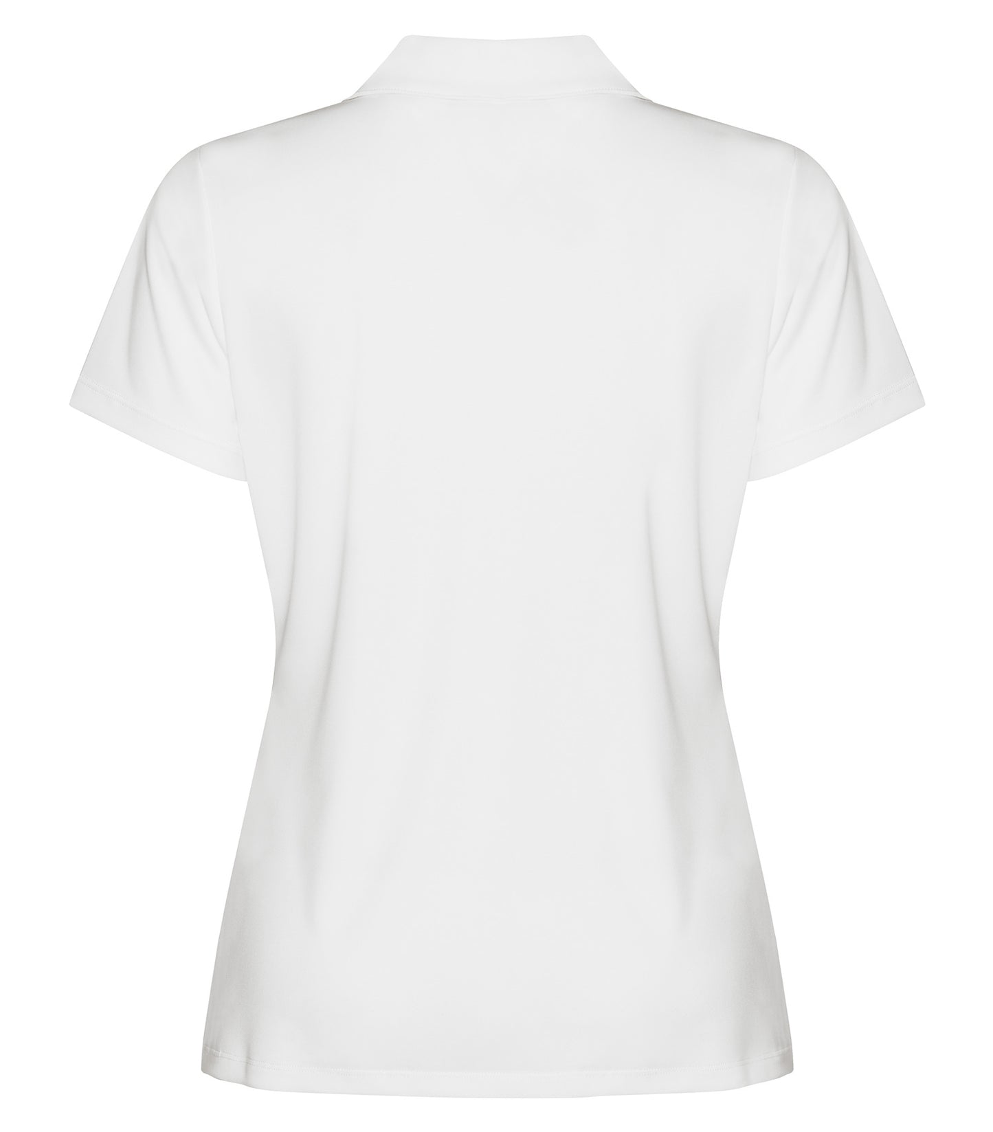 White-model Image
