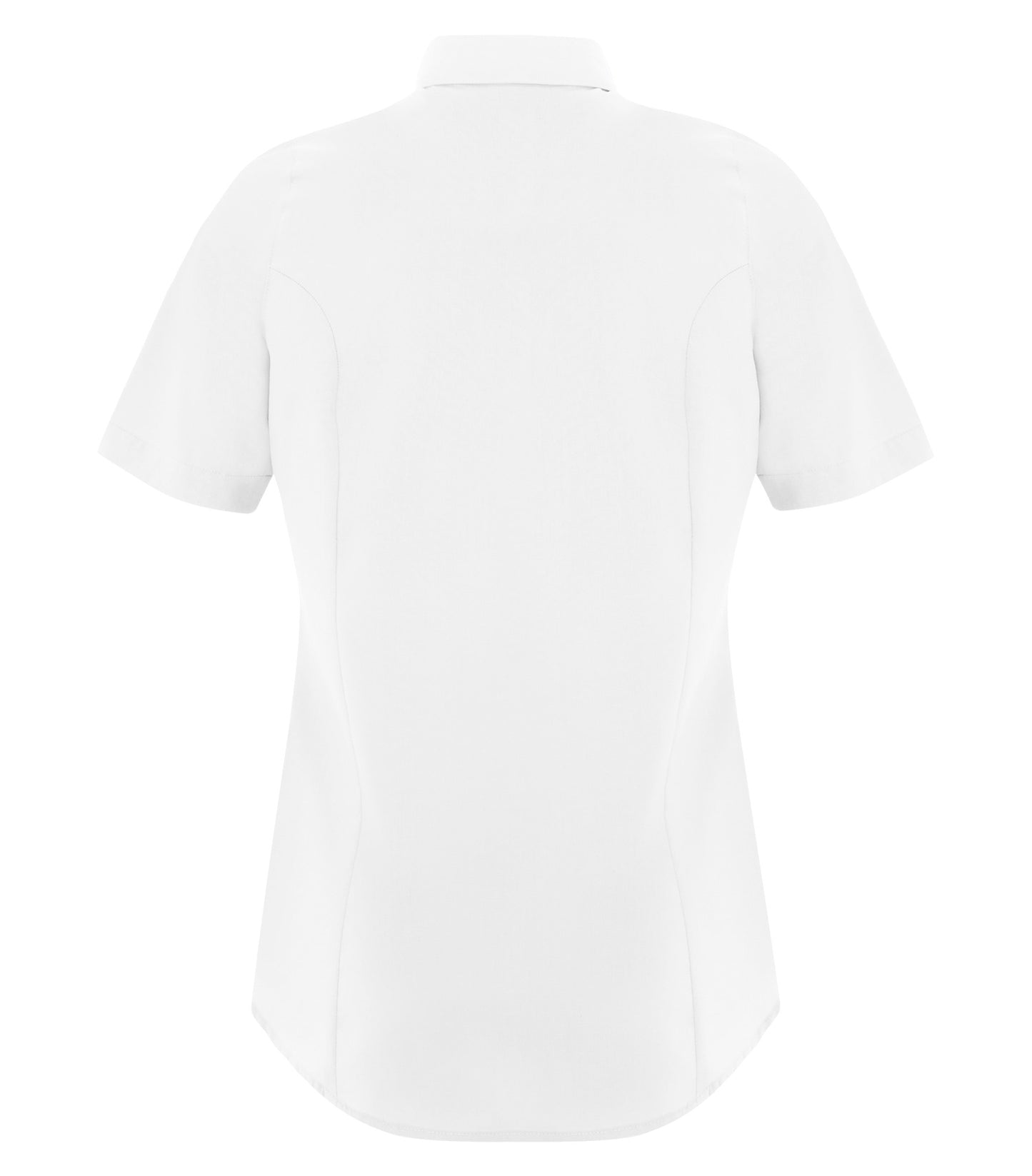 White-model Image