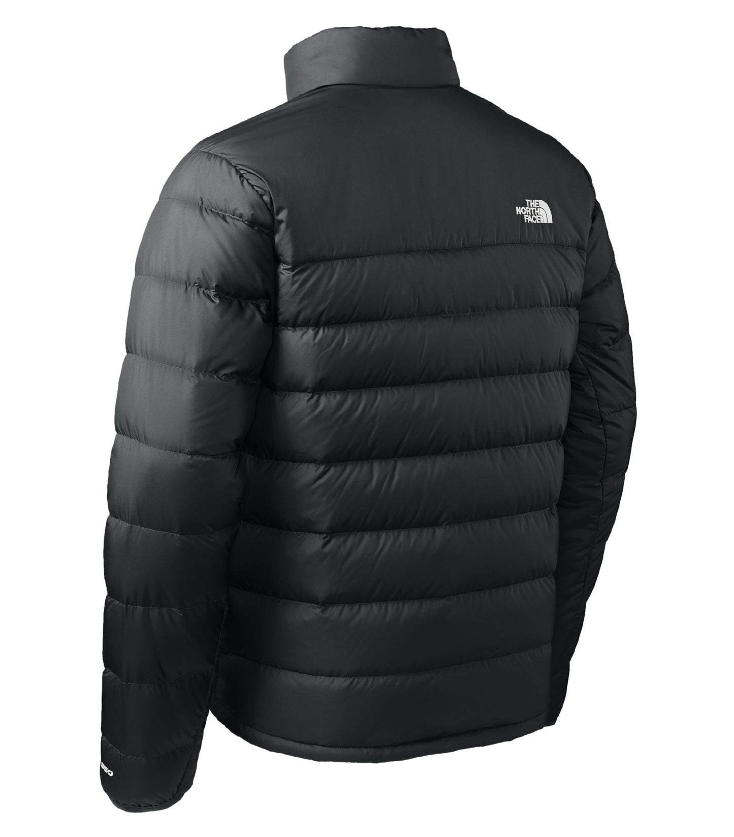 TNF Black-model Image