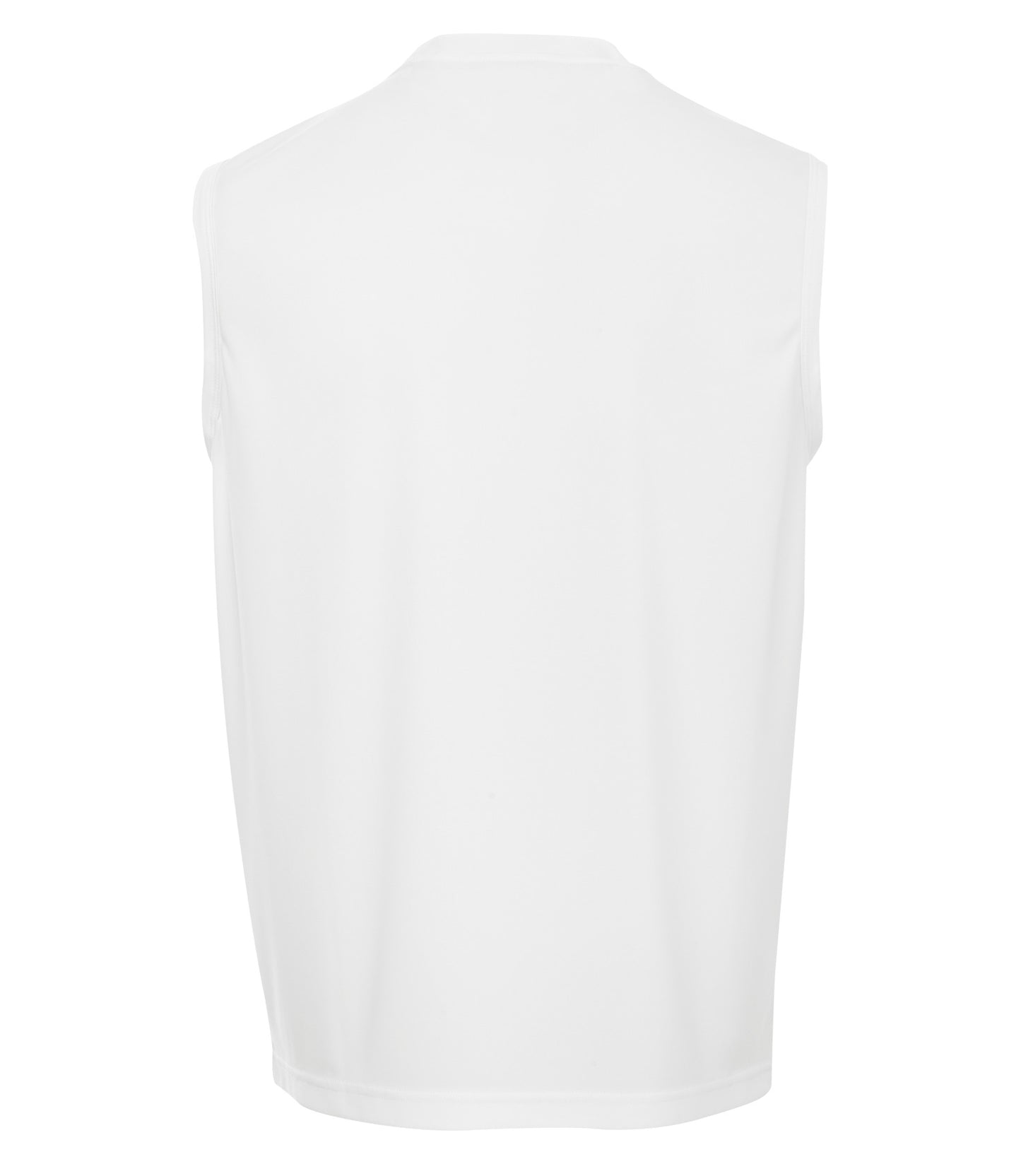 White-model Image