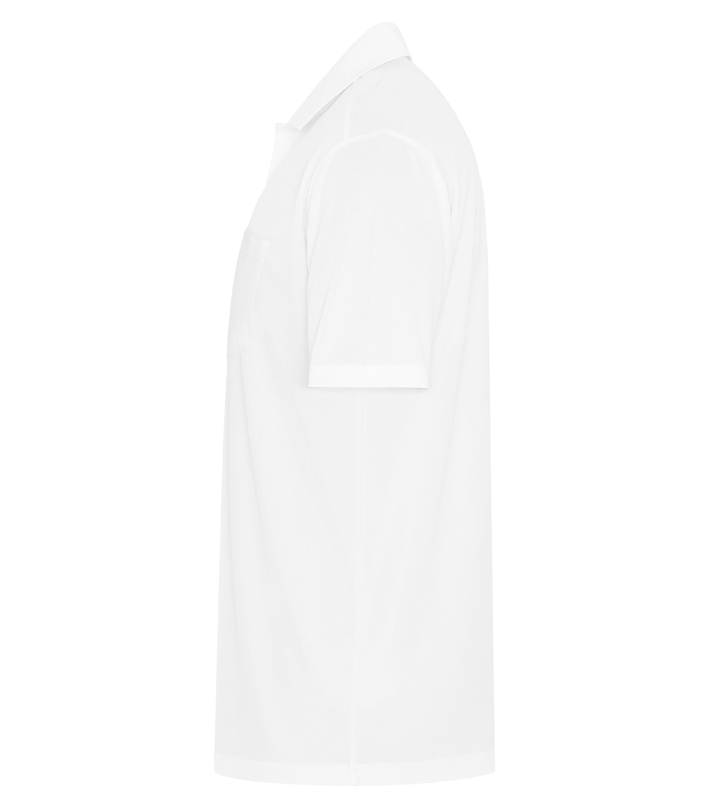 White-model Image