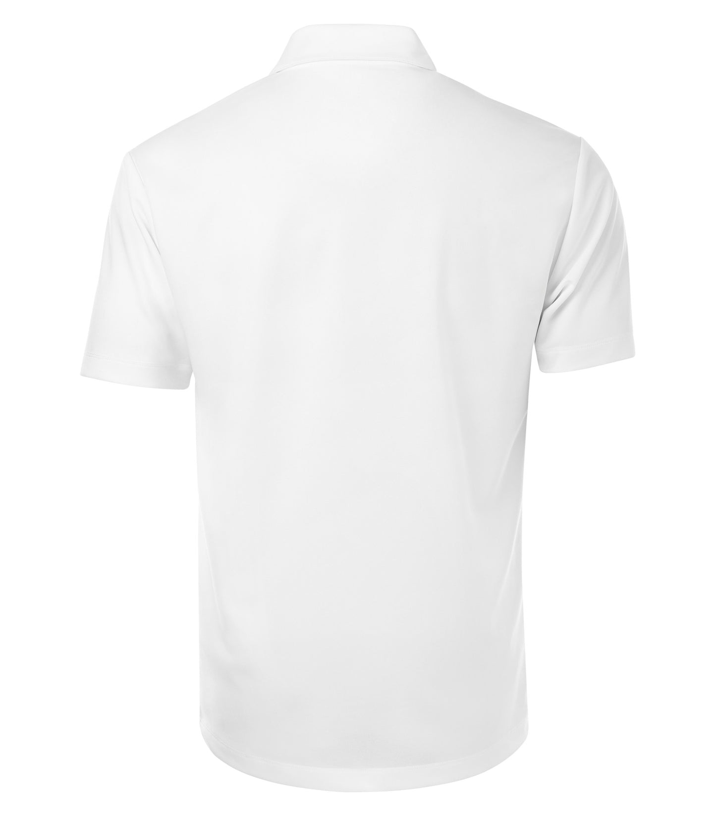 White-model Image