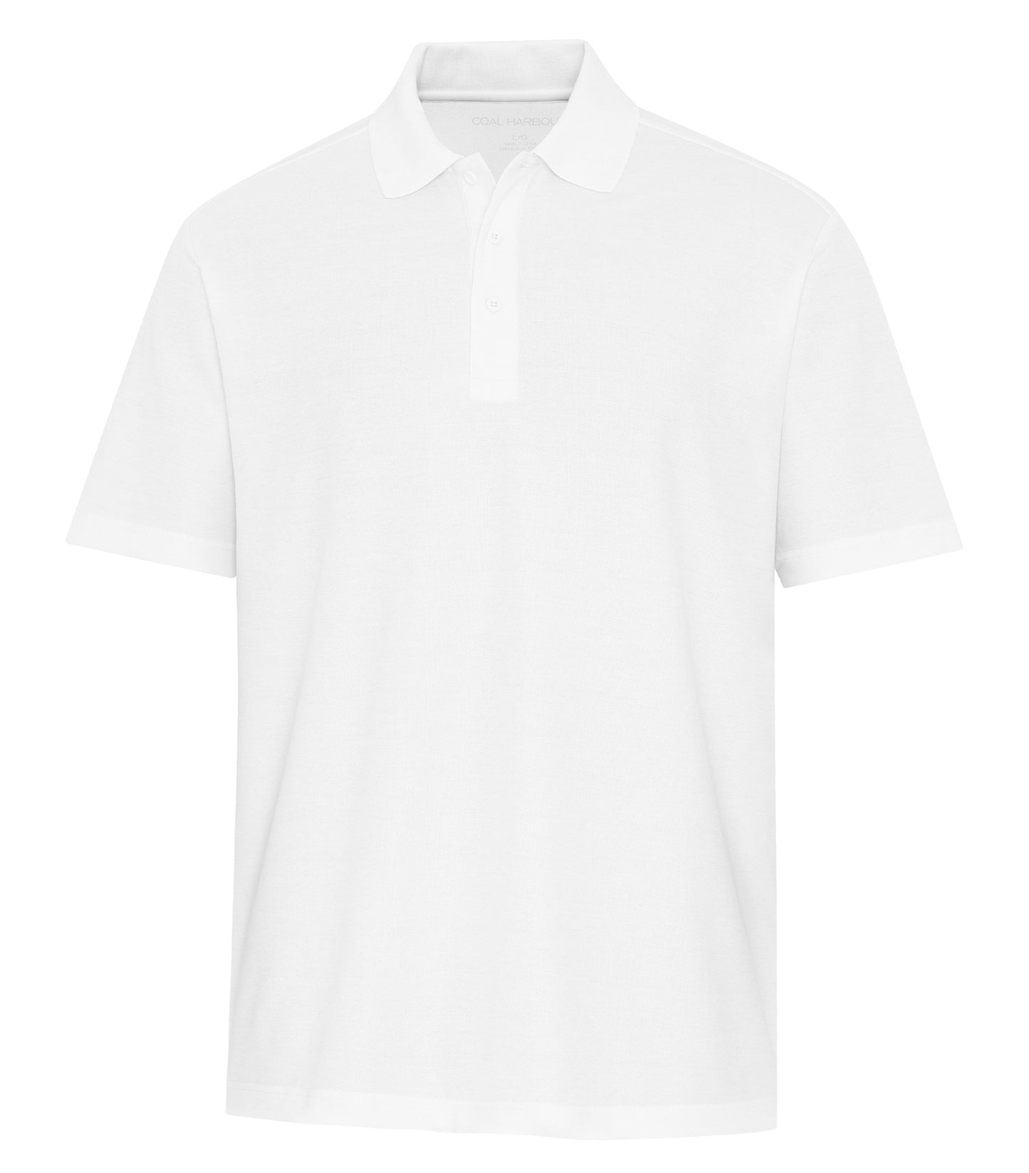 White-model Image