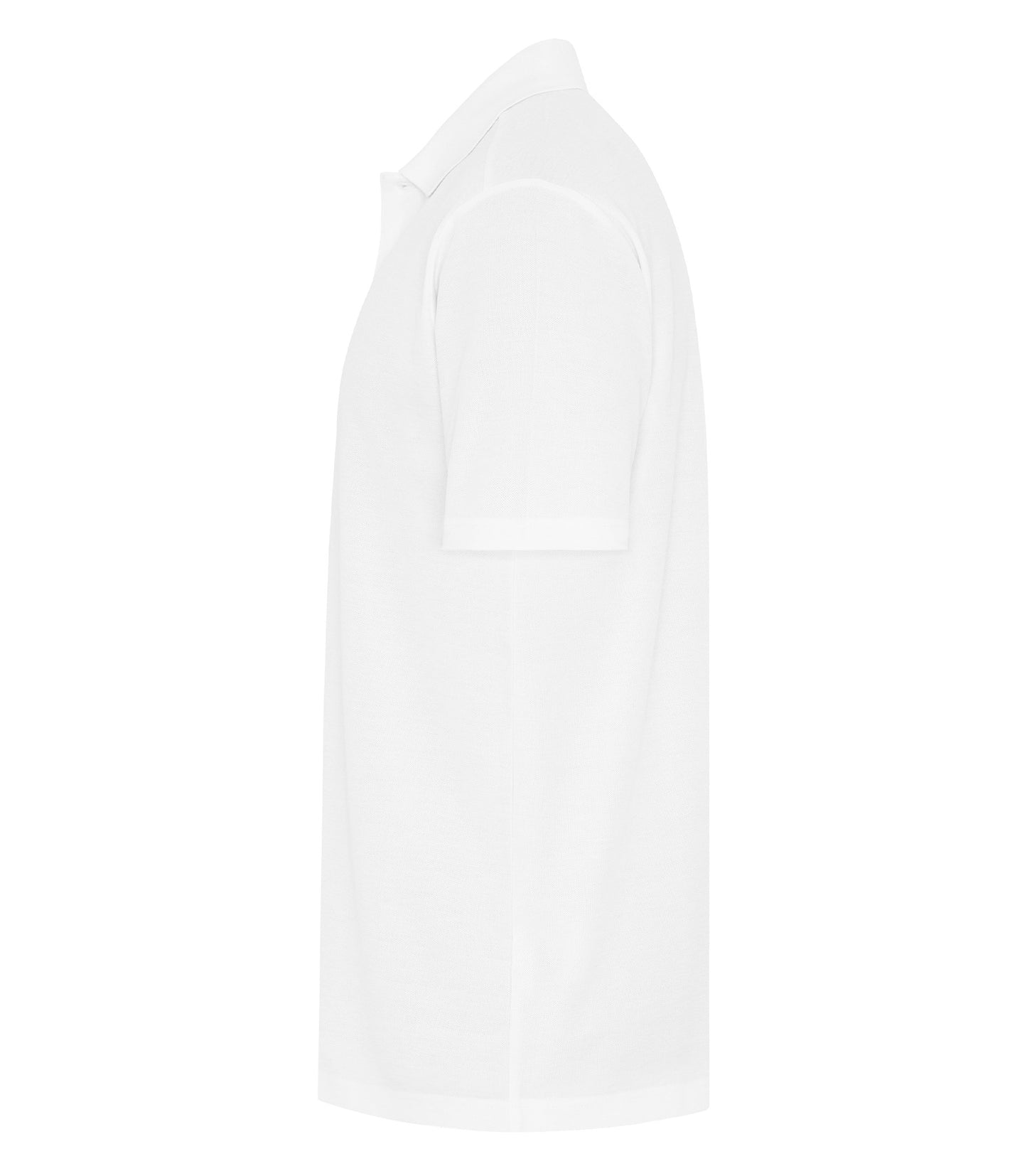 White-model Image
