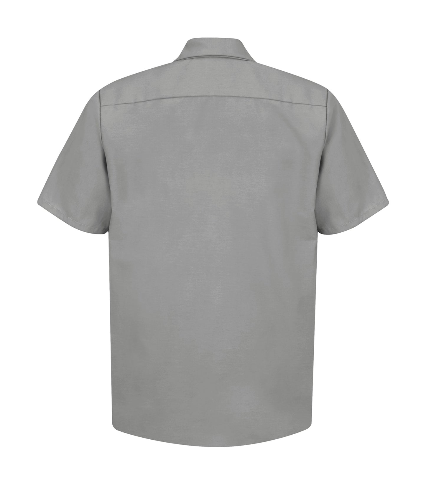 Light Grey-model Image