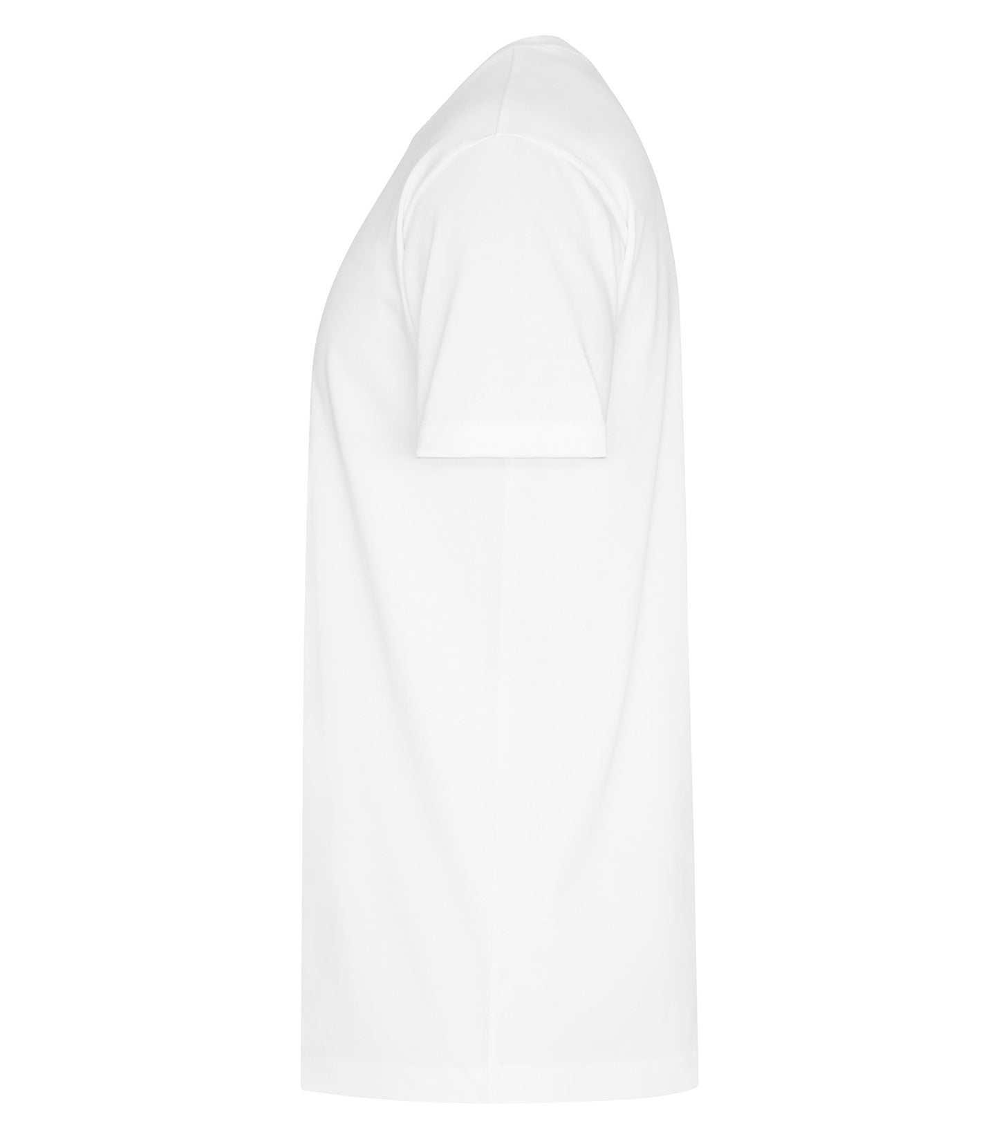 White-model Image