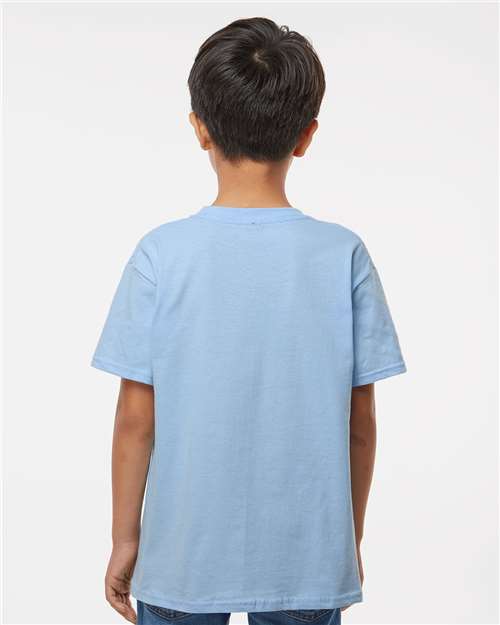 Light Blue-model Image