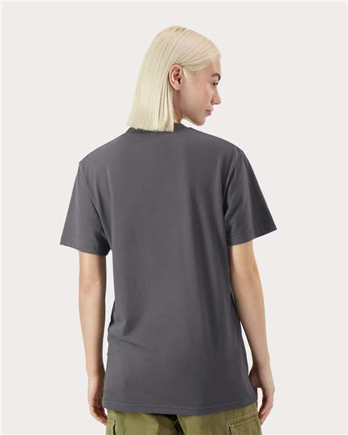 Sueded Asphalt-model Image