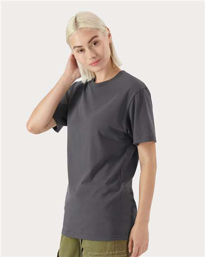 Sueded Asphalt-model Image