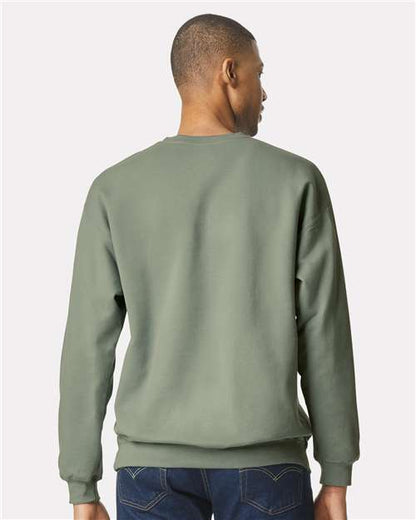 Sage-model Image