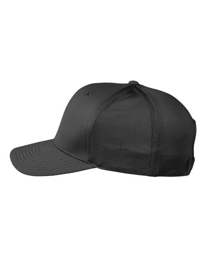 Black-model Image