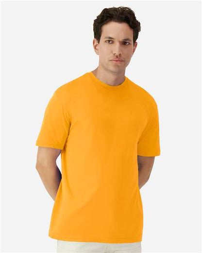 Gold-model Image