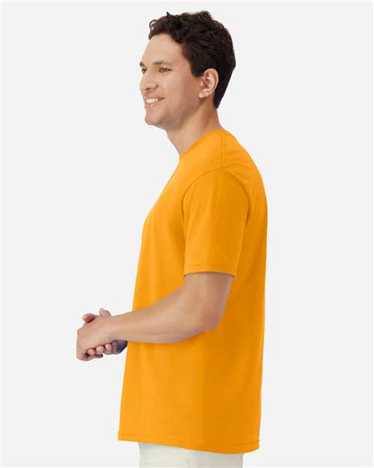 Gold-model Image