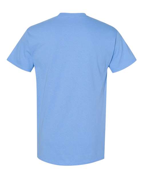 Carolina Blue-model Image