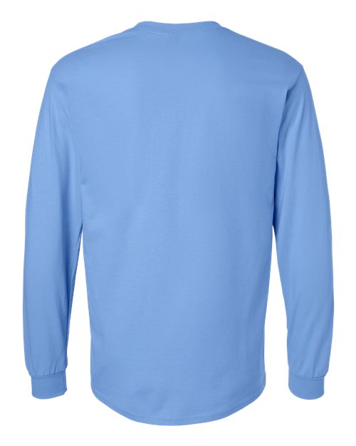 Carolina Blue-model Image