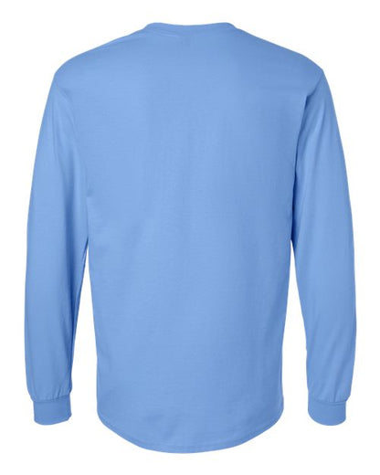 Carolina Blue-model Image
