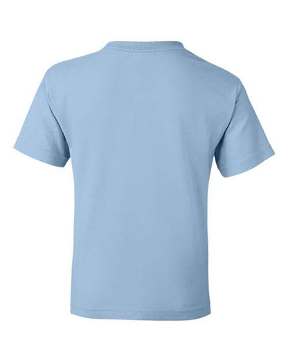 Light Blue-model Image
