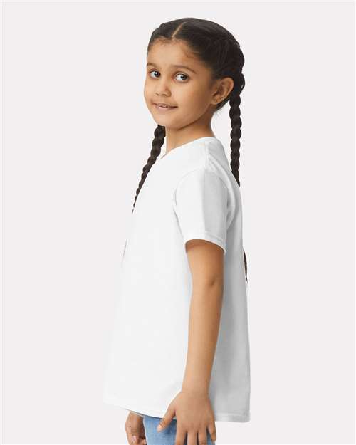 White-model Image