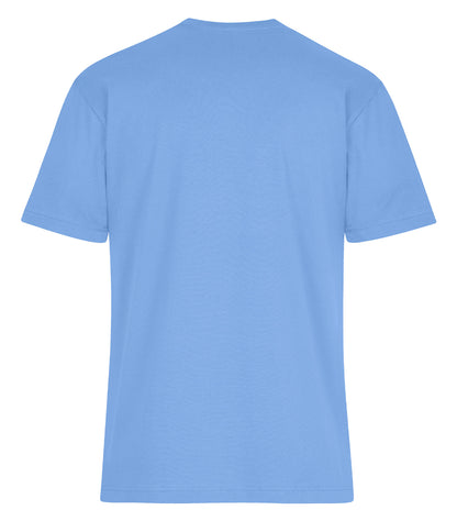 Carolina Blue-model Image