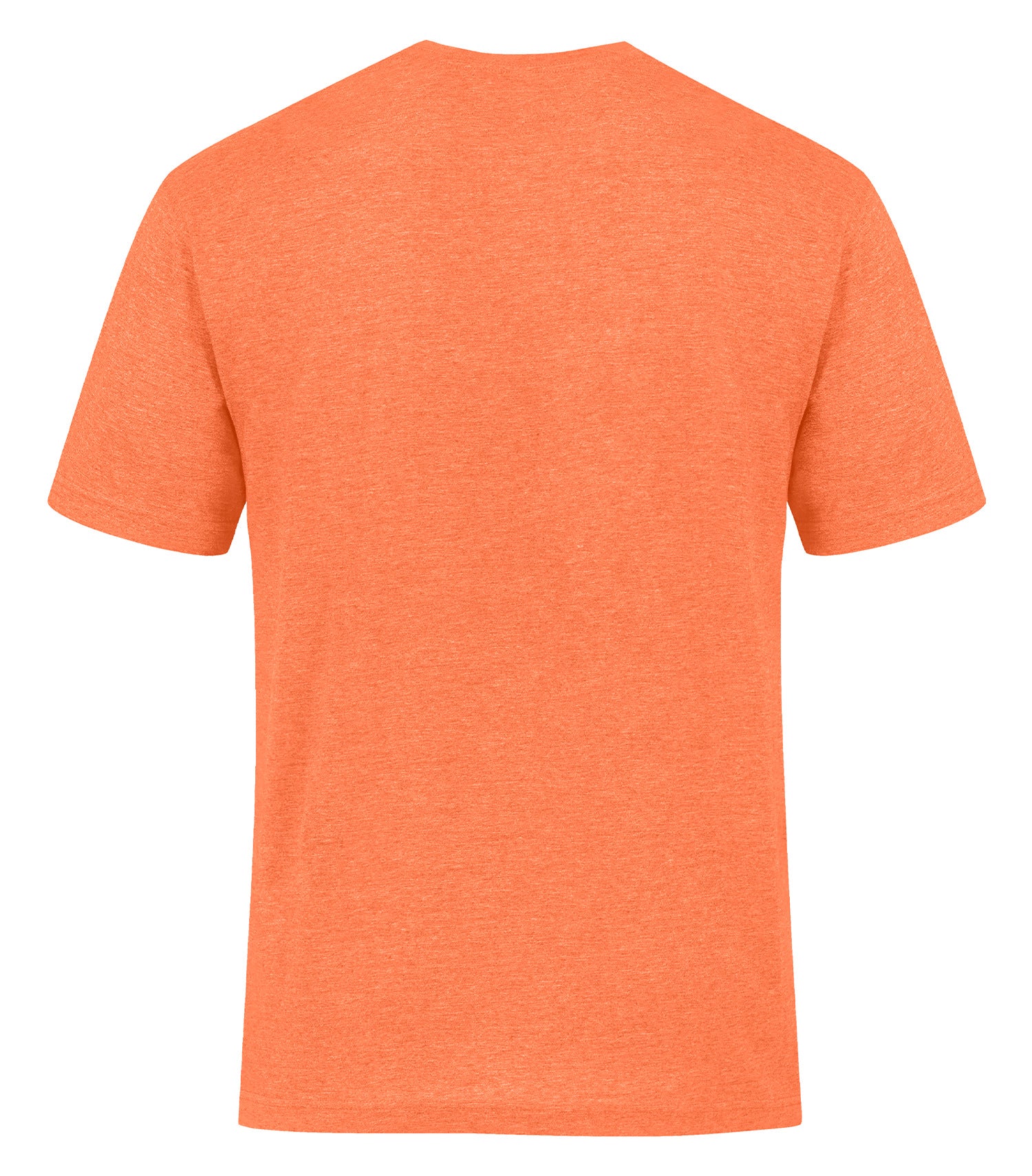Hthr Orange-model Image