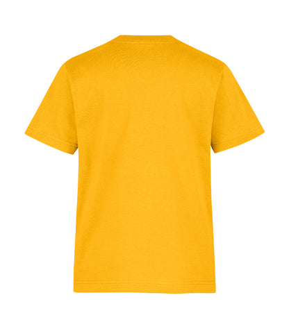 Gold-model Image