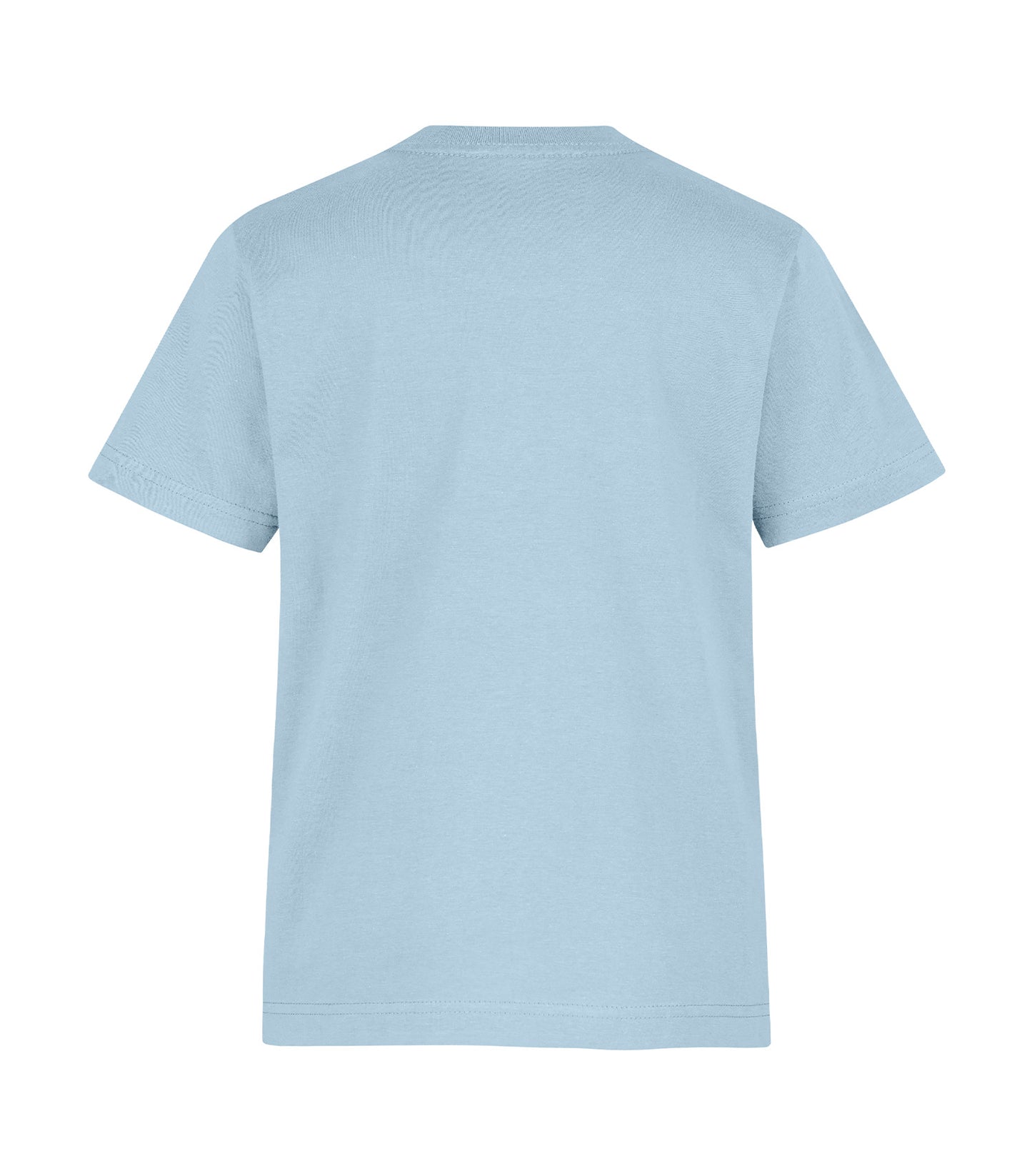 Light Blue-model Image